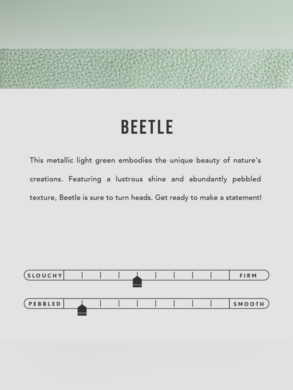 NWT - Picture 4 of 7